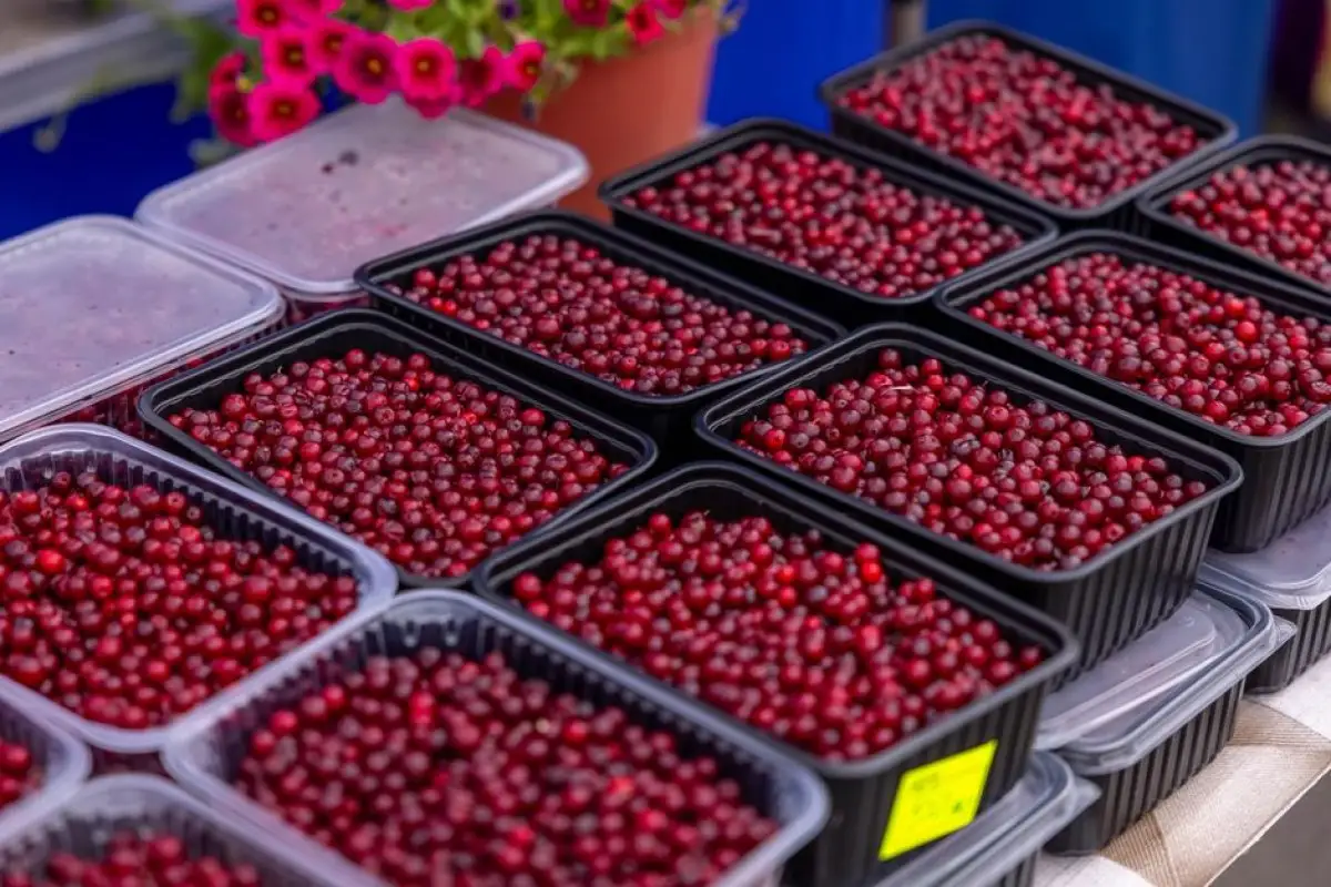 fresh berries sale
