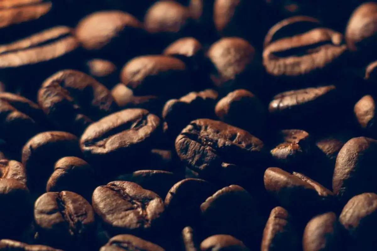 coffee beans