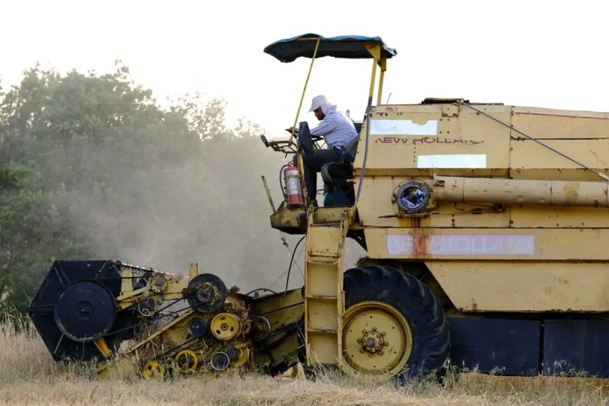 harvest combine worker